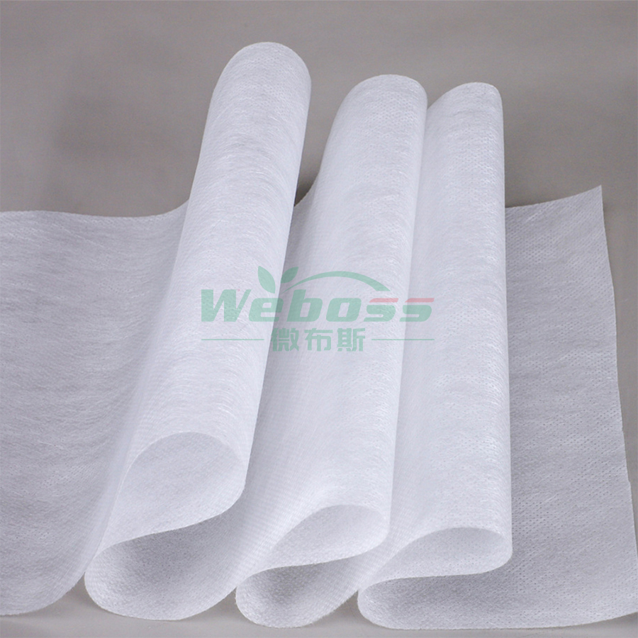 PLA Spunbond Nonwoven Fabric - 图片 2