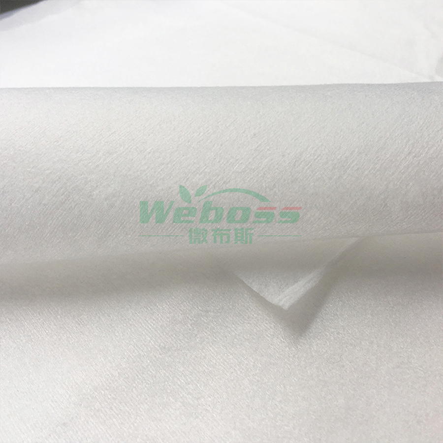 PLA Spunlace Nonwoven Fabric - 图片 7