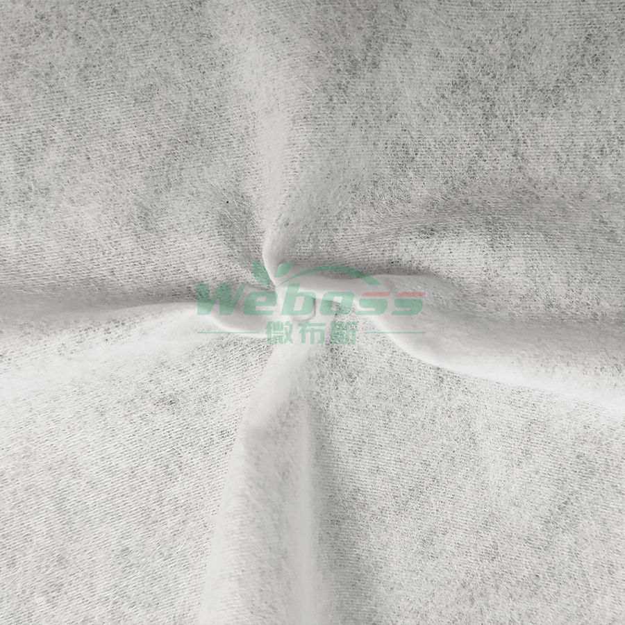 PLA Spunlace Nonwoven Fabric - 图片 5