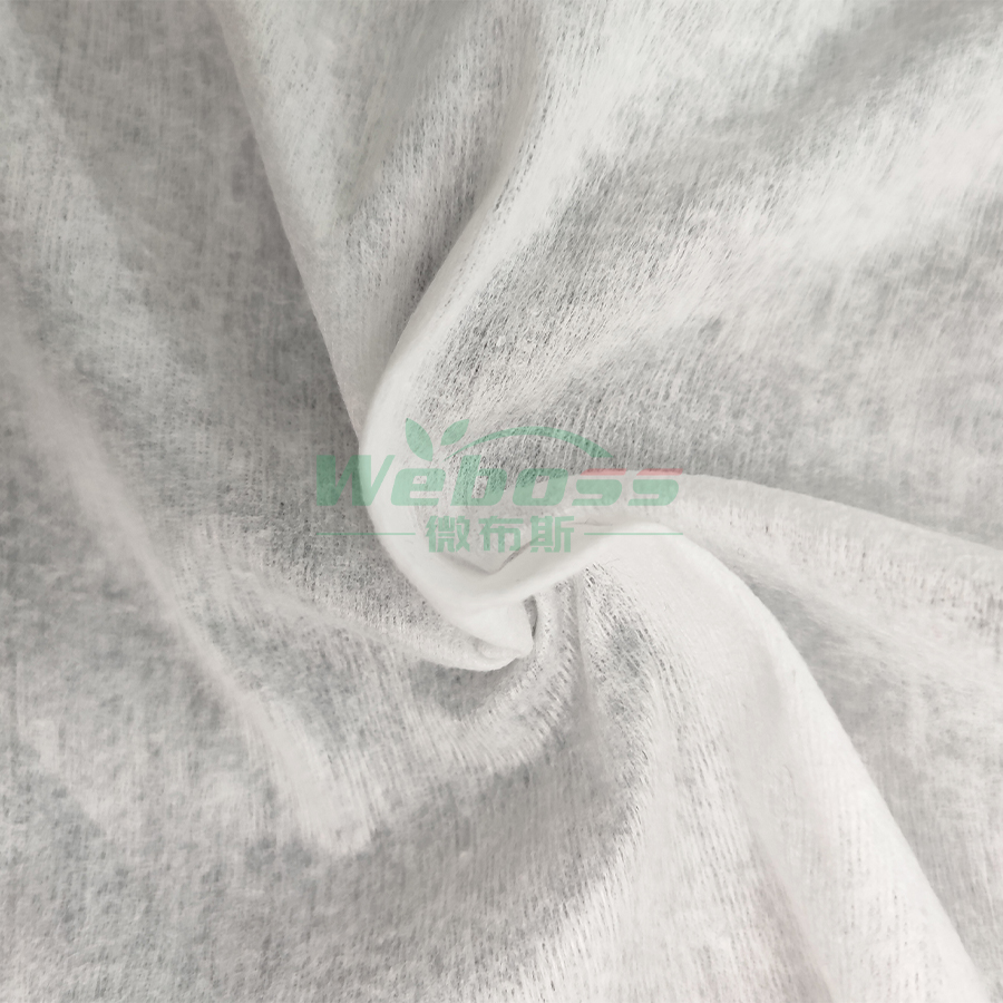 PLA Spunlace Nonwoven Fabric - 图片 2