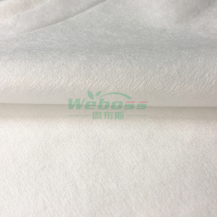 PLA Spunlace Nonwoven Fabric - 图片 3