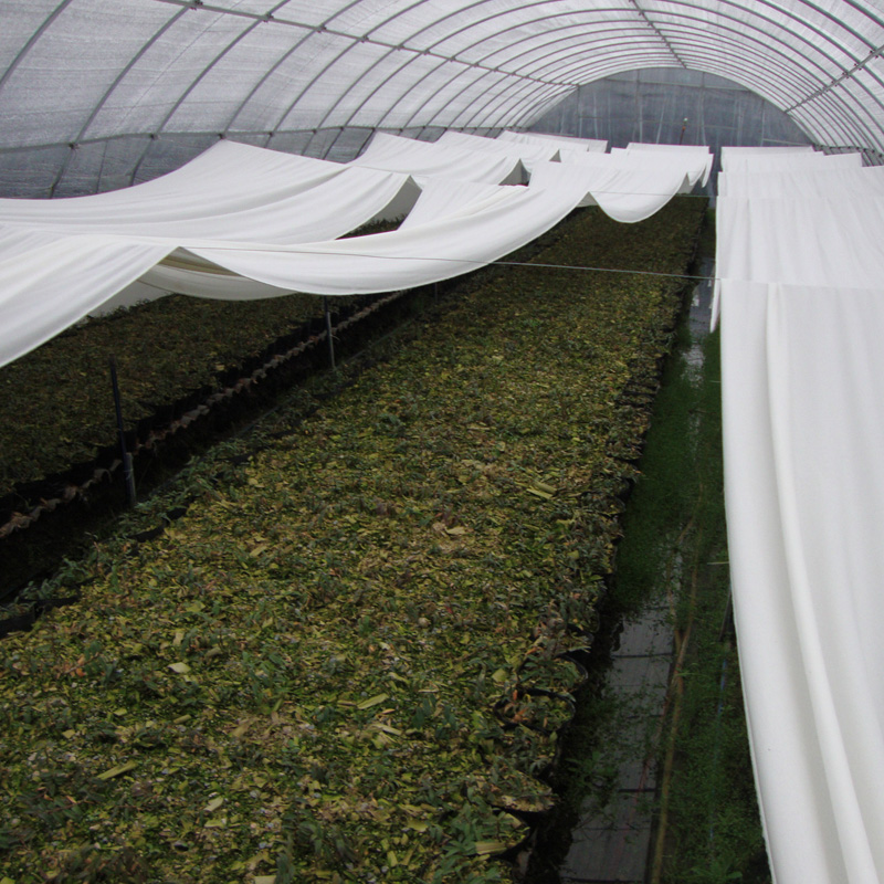 spunbond-nonwoven-fabric-for-agricultural-covers4 spunbond nonwoven fabric for agricultural covers1